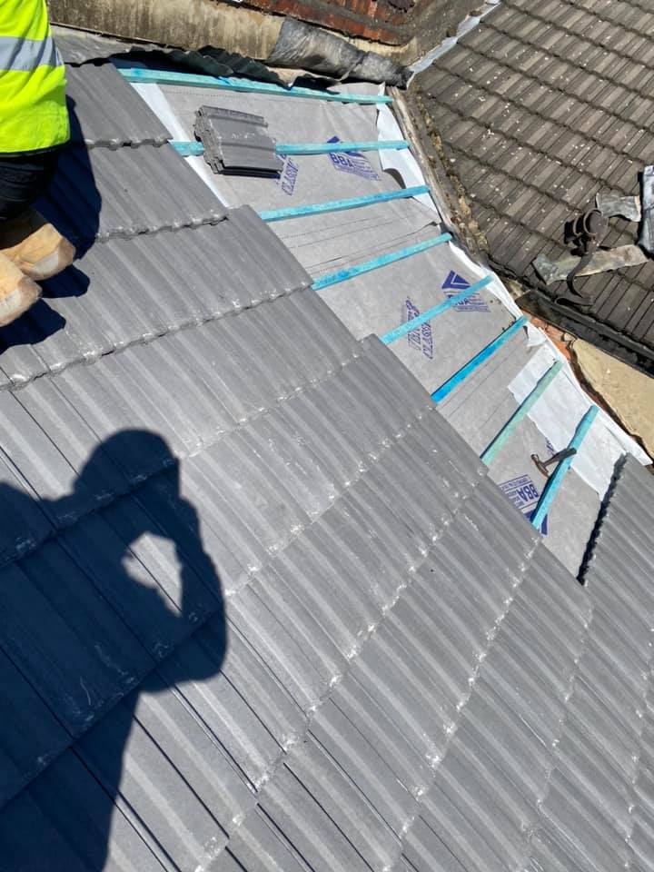 Moss removal in Wimbledon