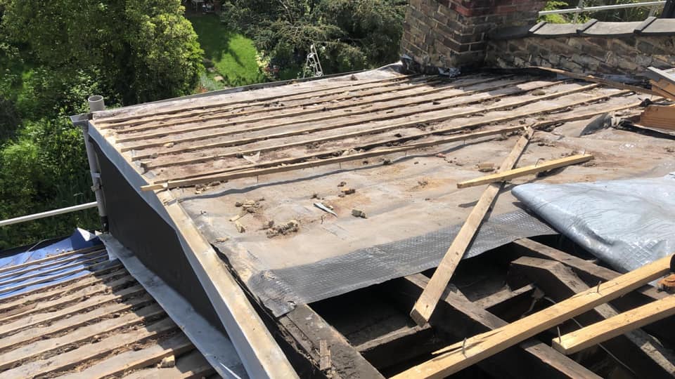 Moss removal in Wimbledon