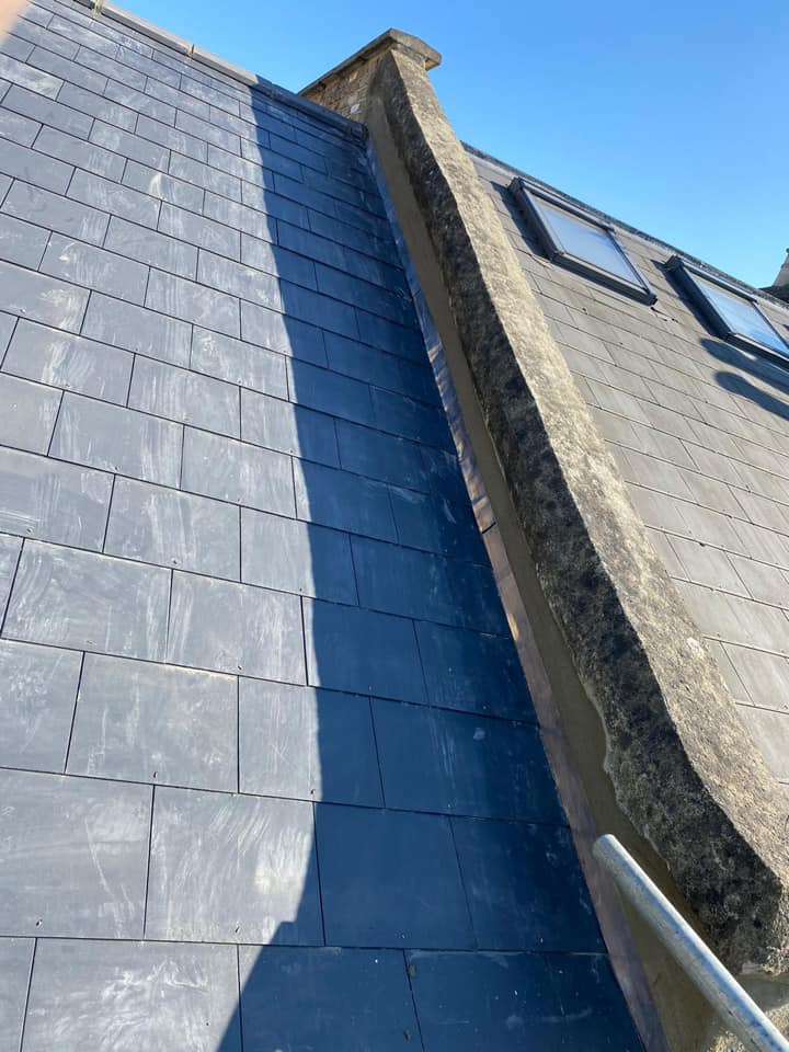 Moss removal in Wimbledon