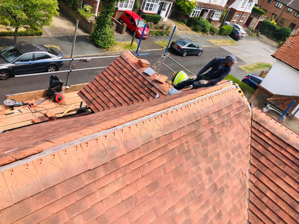 Moss removal in Wimbledon