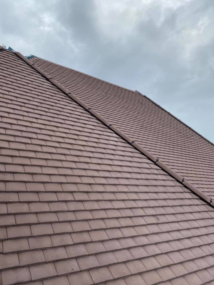 Moss removal in Wimbledon