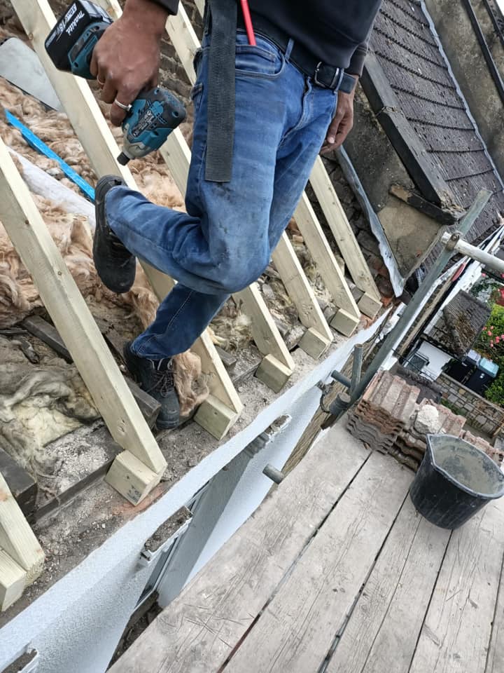 Moss removal in Wimbledon