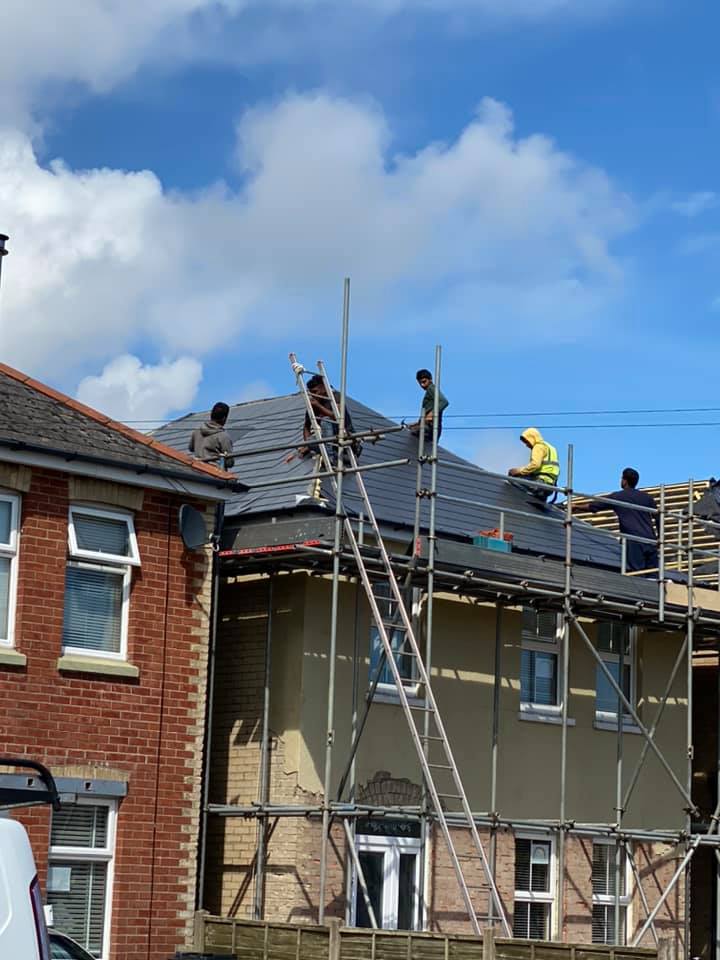 Moss removal in Wimbledon