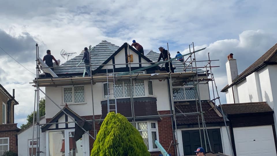 Moss removal in Wimbledon