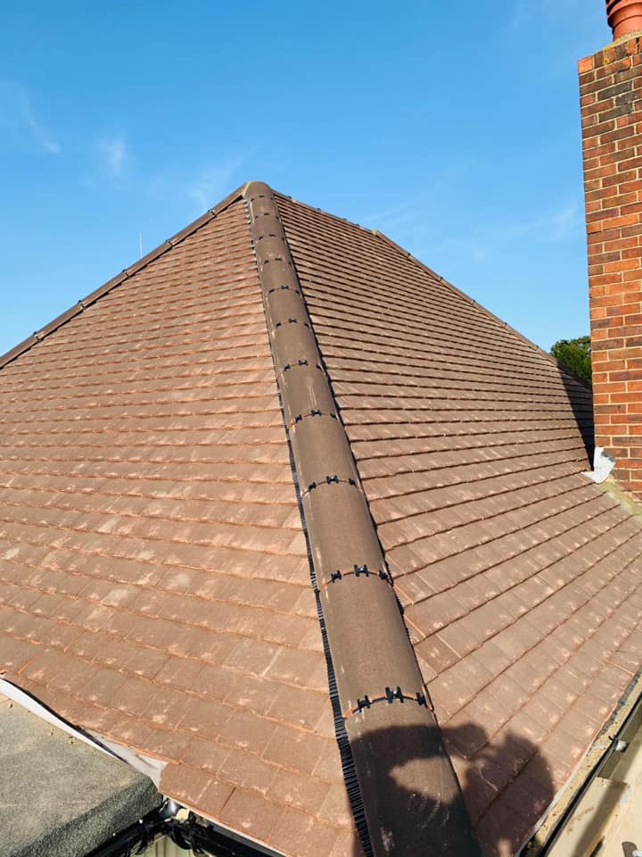 Moss removal in Wimbledon