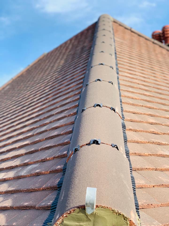 Roof survey in Kensington