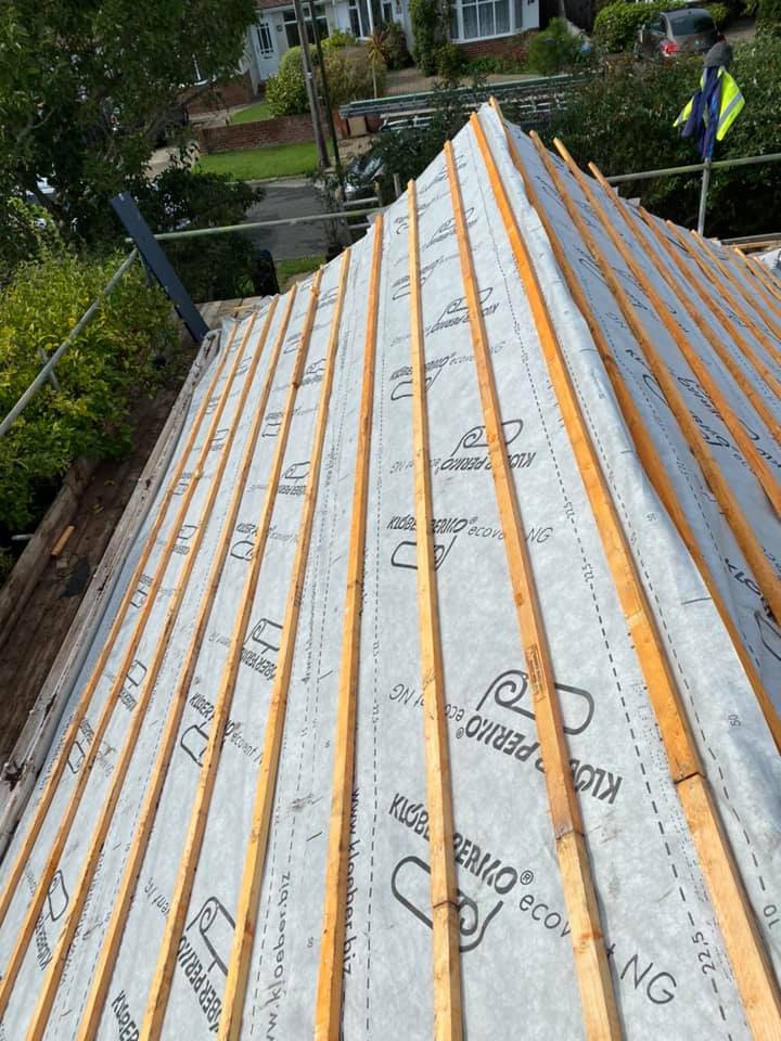 Moss removal in Wimbledon