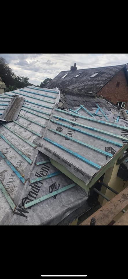 Moss removal in Wimbledon