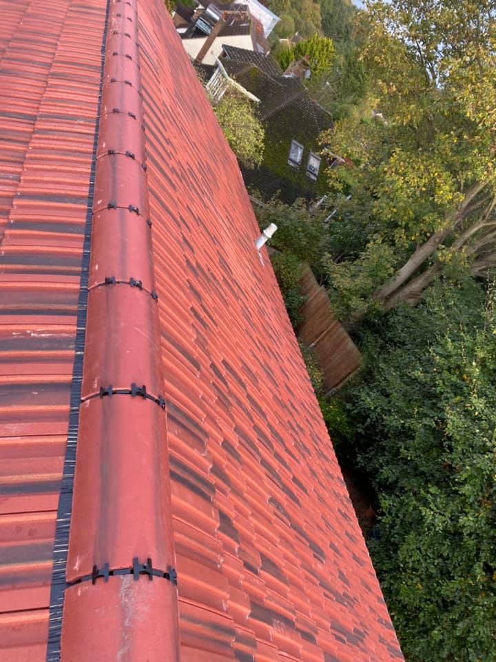 Roof survey in Kensington