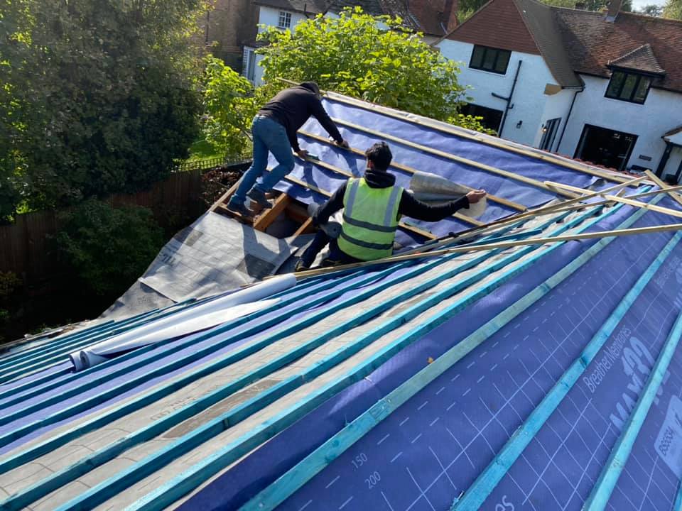 Moss removal in Wimbledon