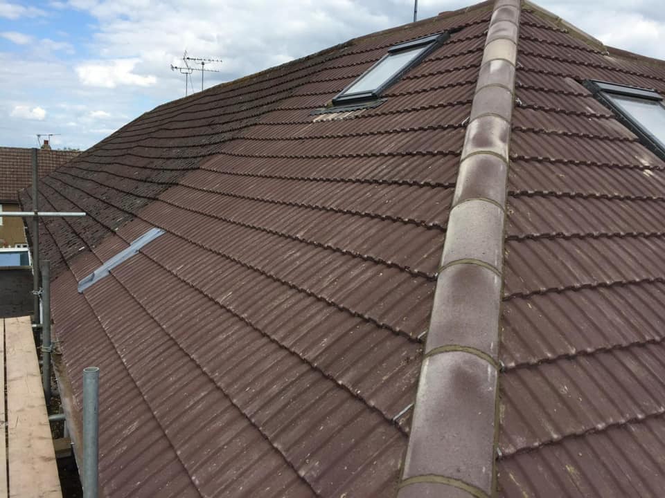 Moss removal in Wimbledon