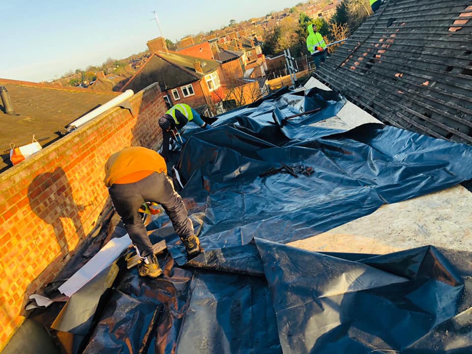 Moss removal in Wimbledon