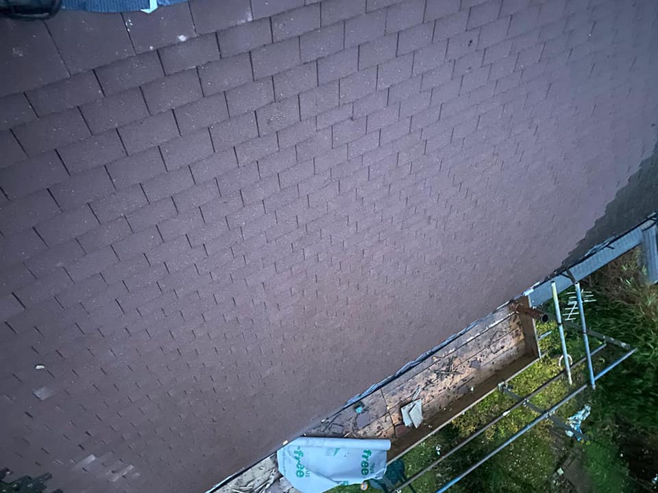 Moss removal in Wimbledon