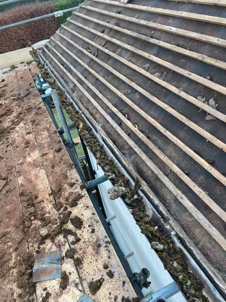 Roof waterproofing in Clapham