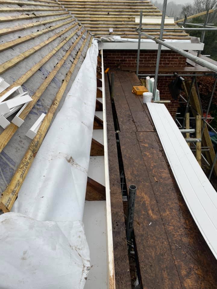 Moss removal in Wimbledon