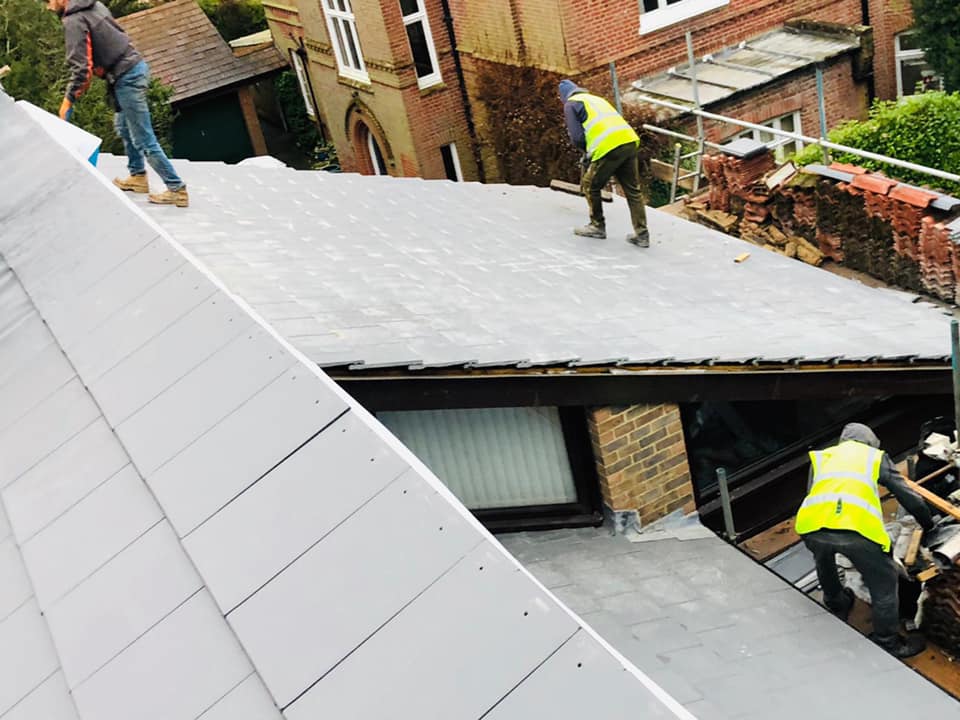Moss removal in Wimbledon