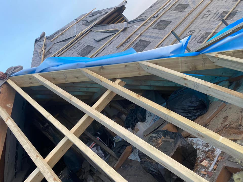 Moss removal in Wimbledon