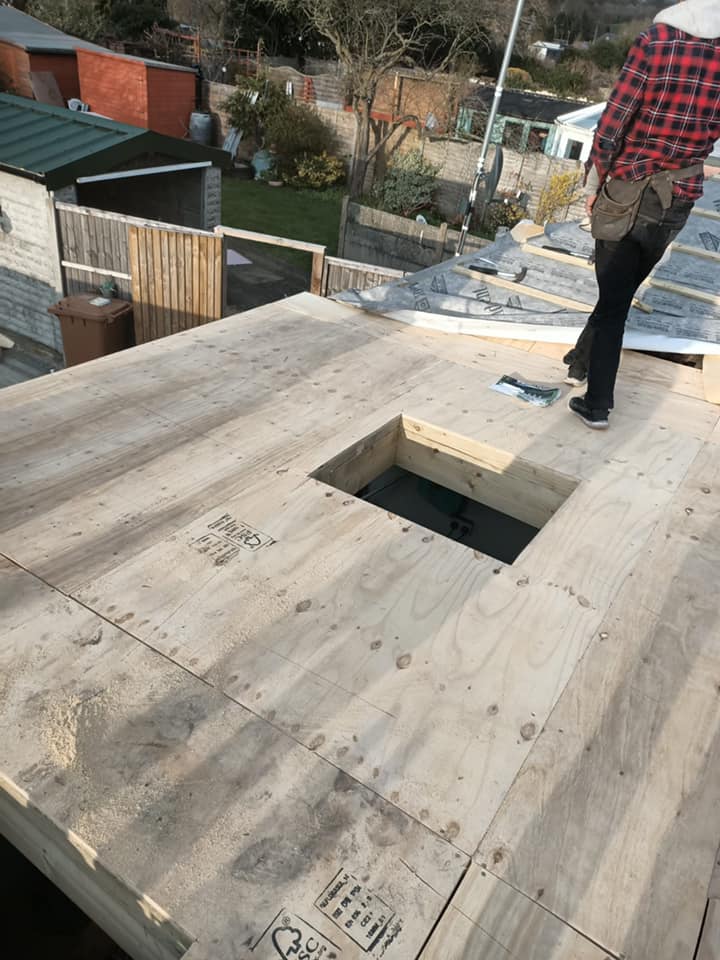 Moss removal in Wimbledon
