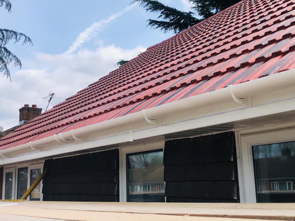 Moss removal in Wimbledon
