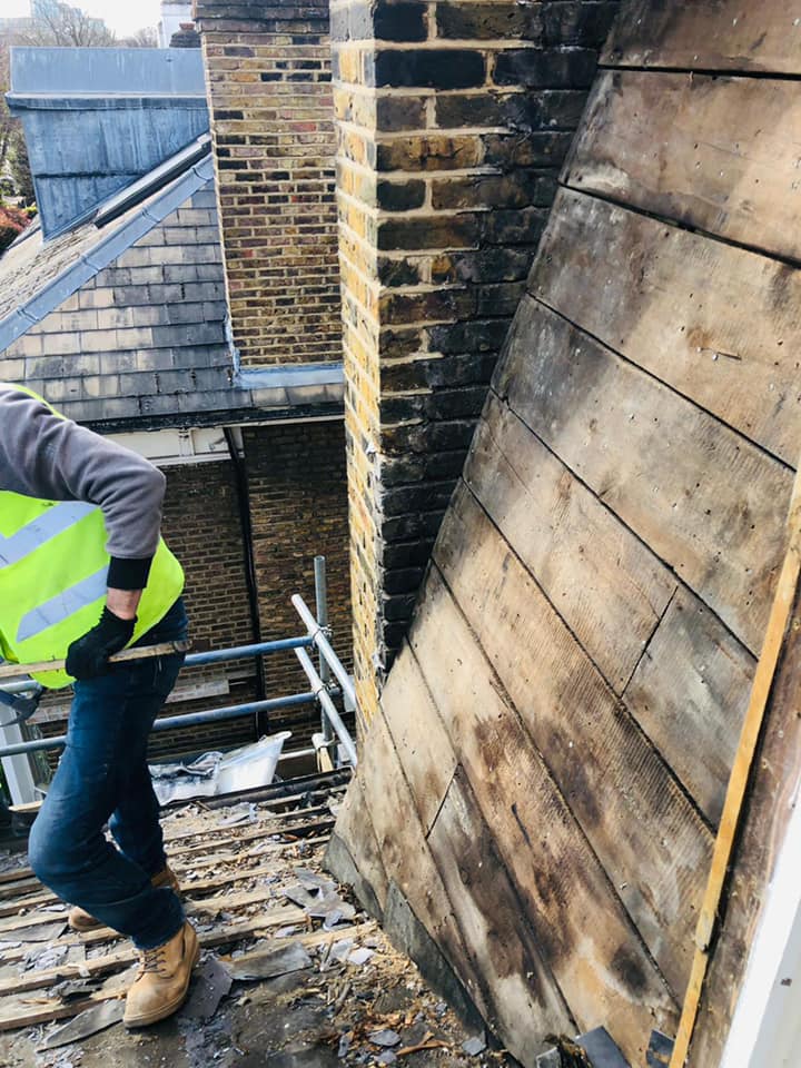 Moss removal in Wimbledon