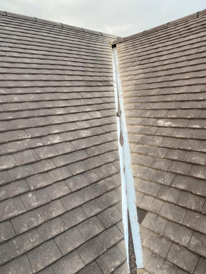 Roof survey in Kensington