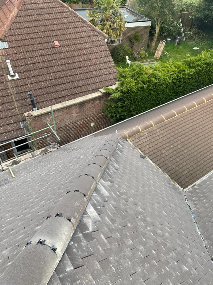 Moss removal in Wimbledon