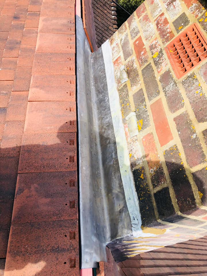 Moss removal in Wimbledon