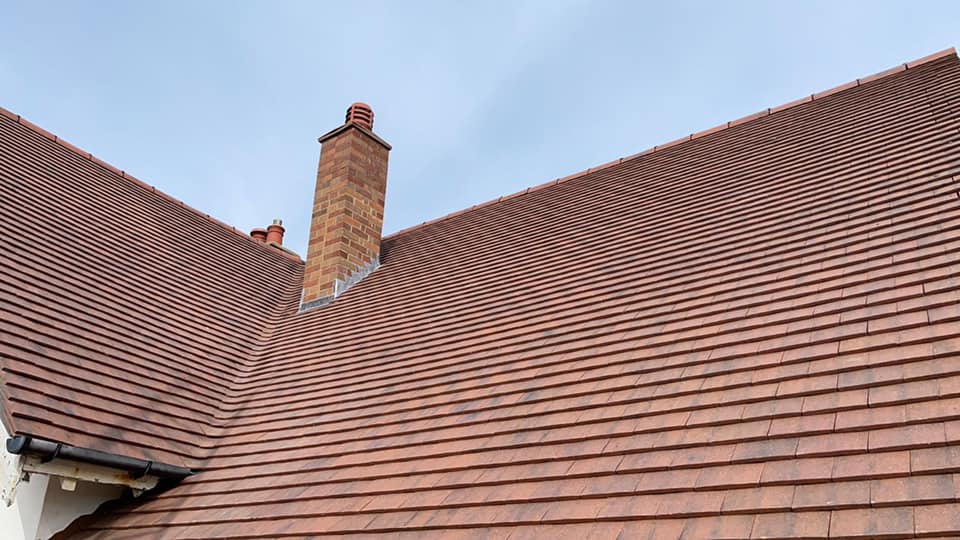 Moss removal in Wimbledon