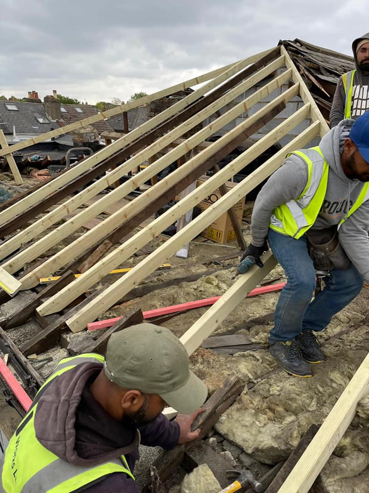 Moss removal in Wimbledon