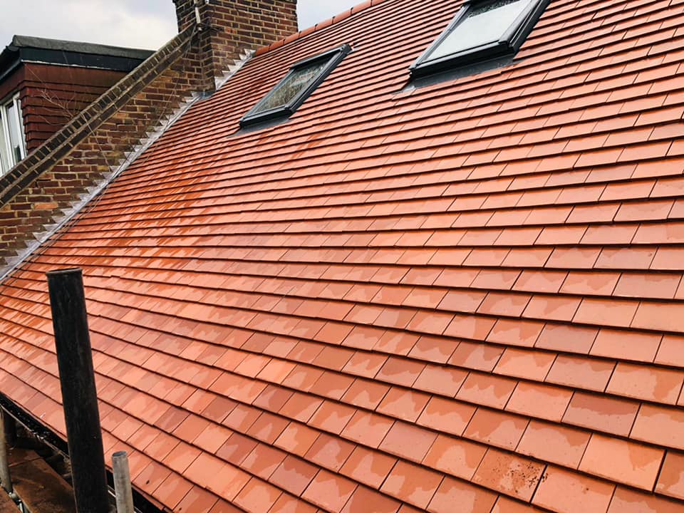 Moss removal in Wimbledon