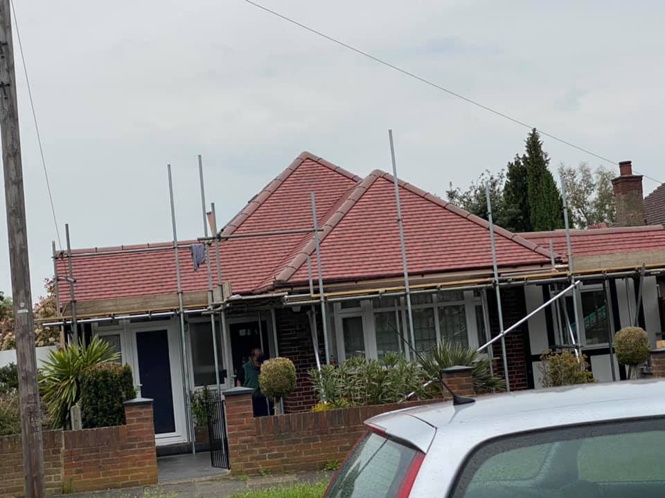 Moss removal in Wimbledon