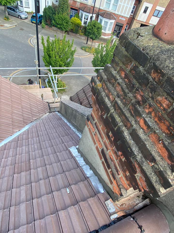 Moss removal in Wimbledon