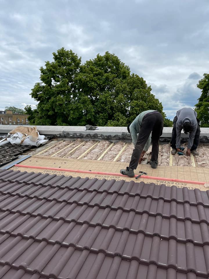 Moss removal in Wimbledon