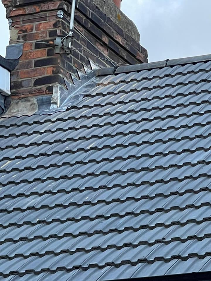 Moss removal in Wimbledon