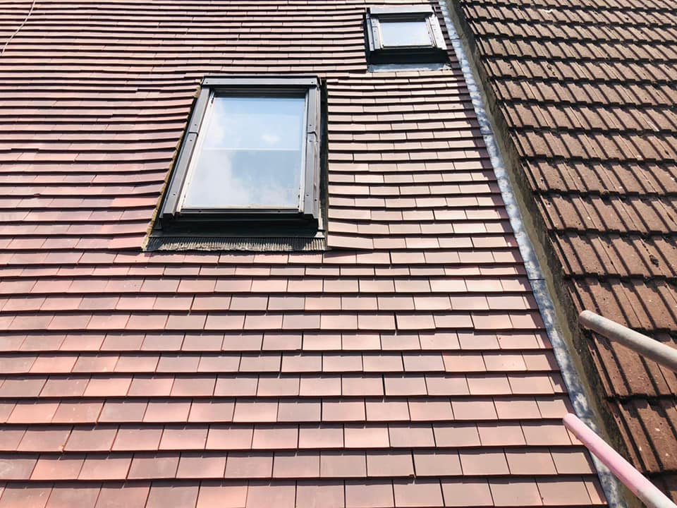 Moss removal in Wimbledon