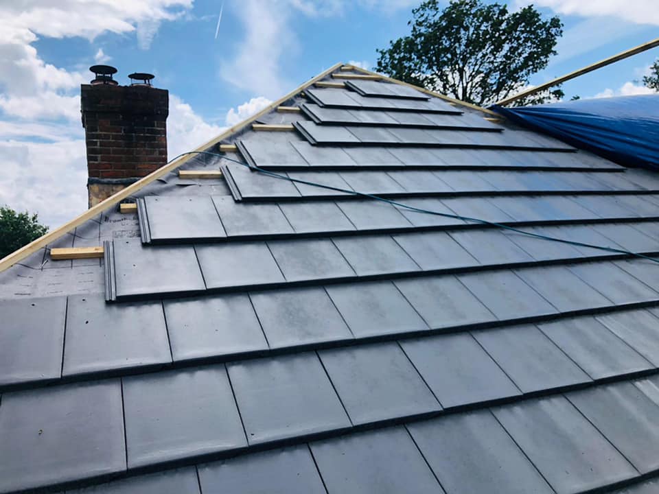 Moss removal in Wimbledon