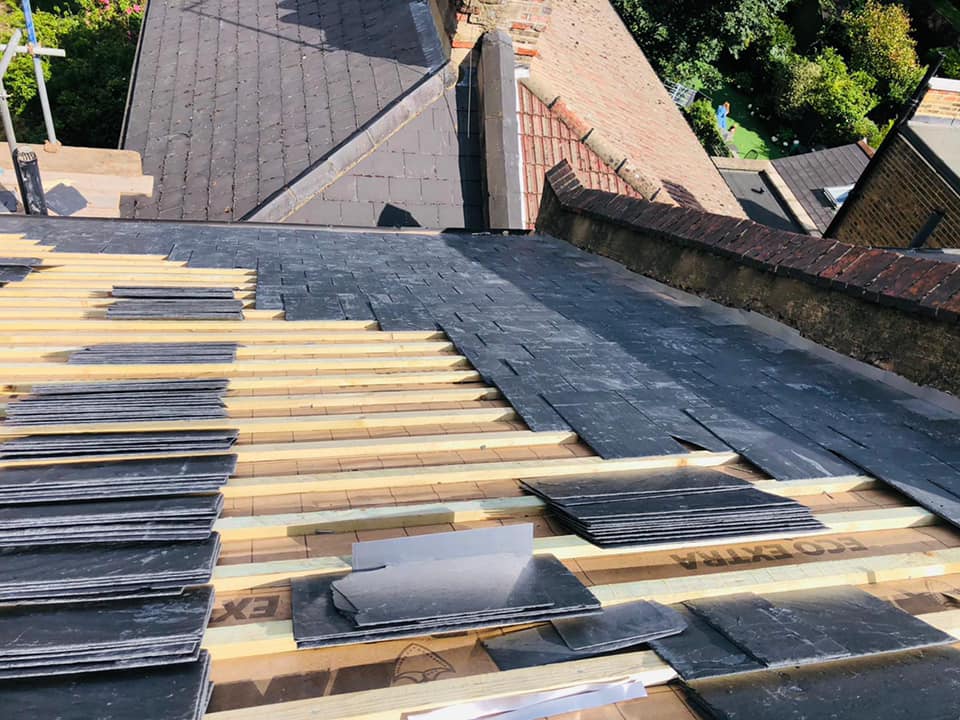 Moss removal in Wimbledon