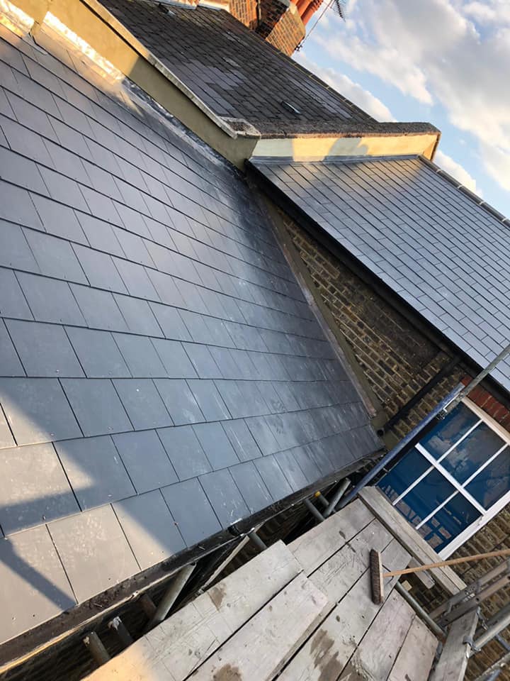 Moss removal in Wimbledon