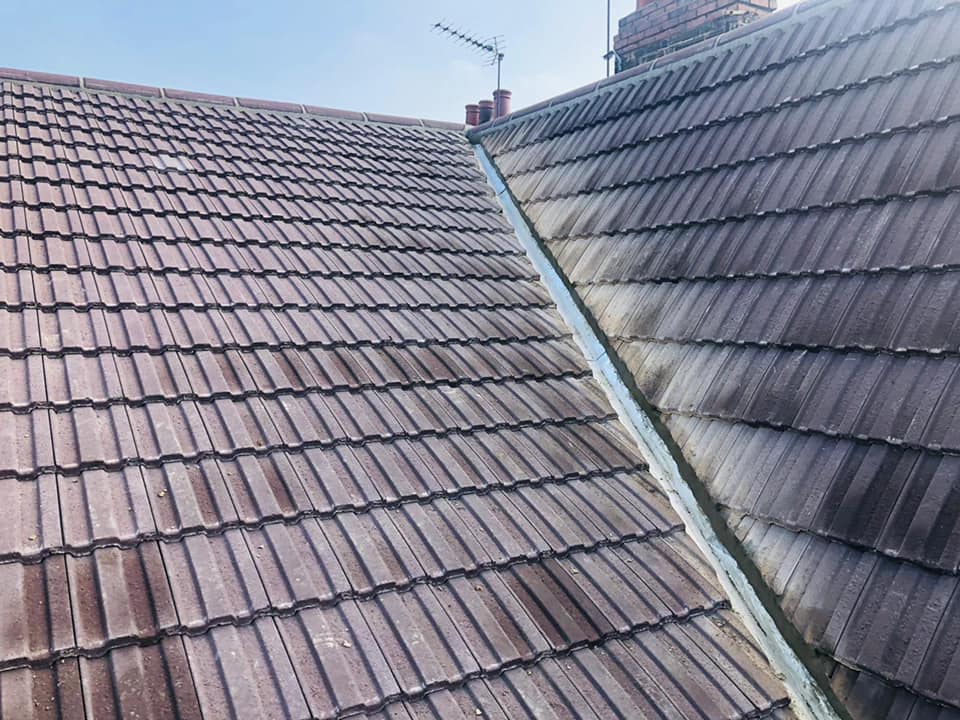 Roof waterproofing in Clapham
