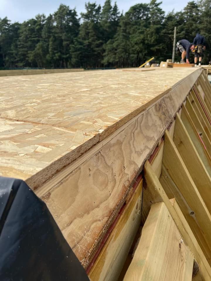 Roof survey in Kensington