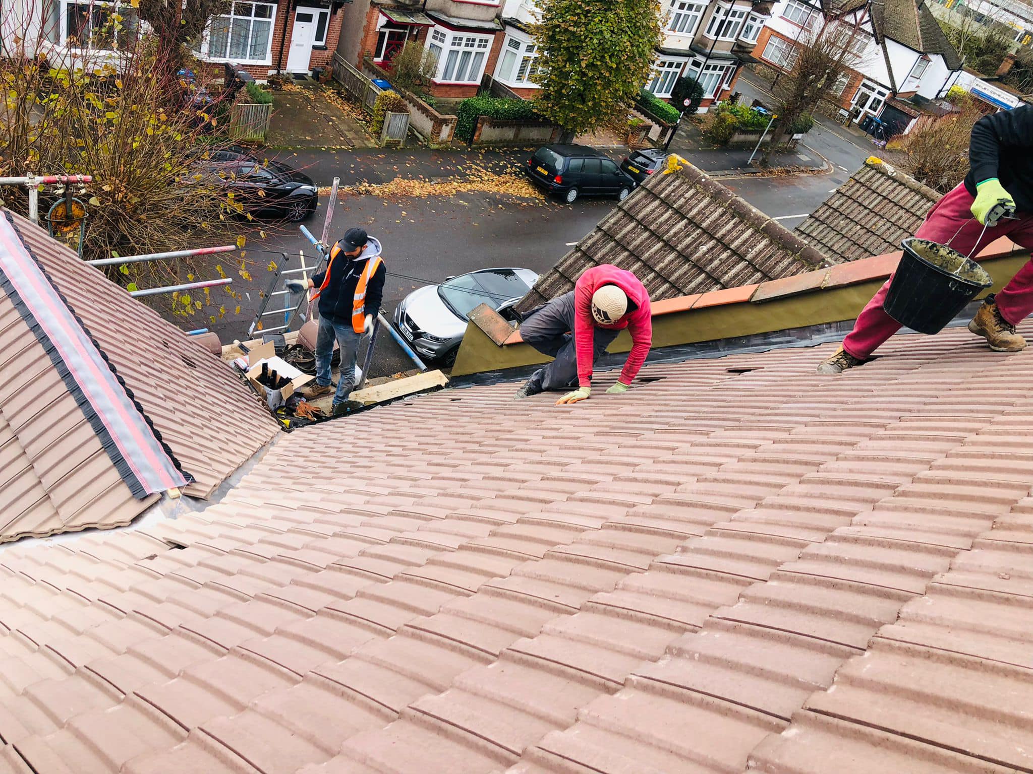 Moss removal in Wimbledon