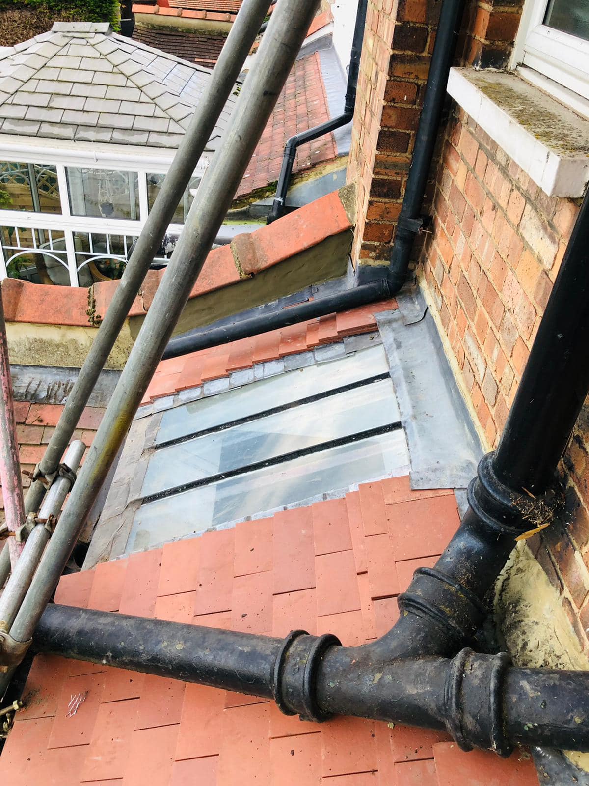 Moss removal in Wimbledon