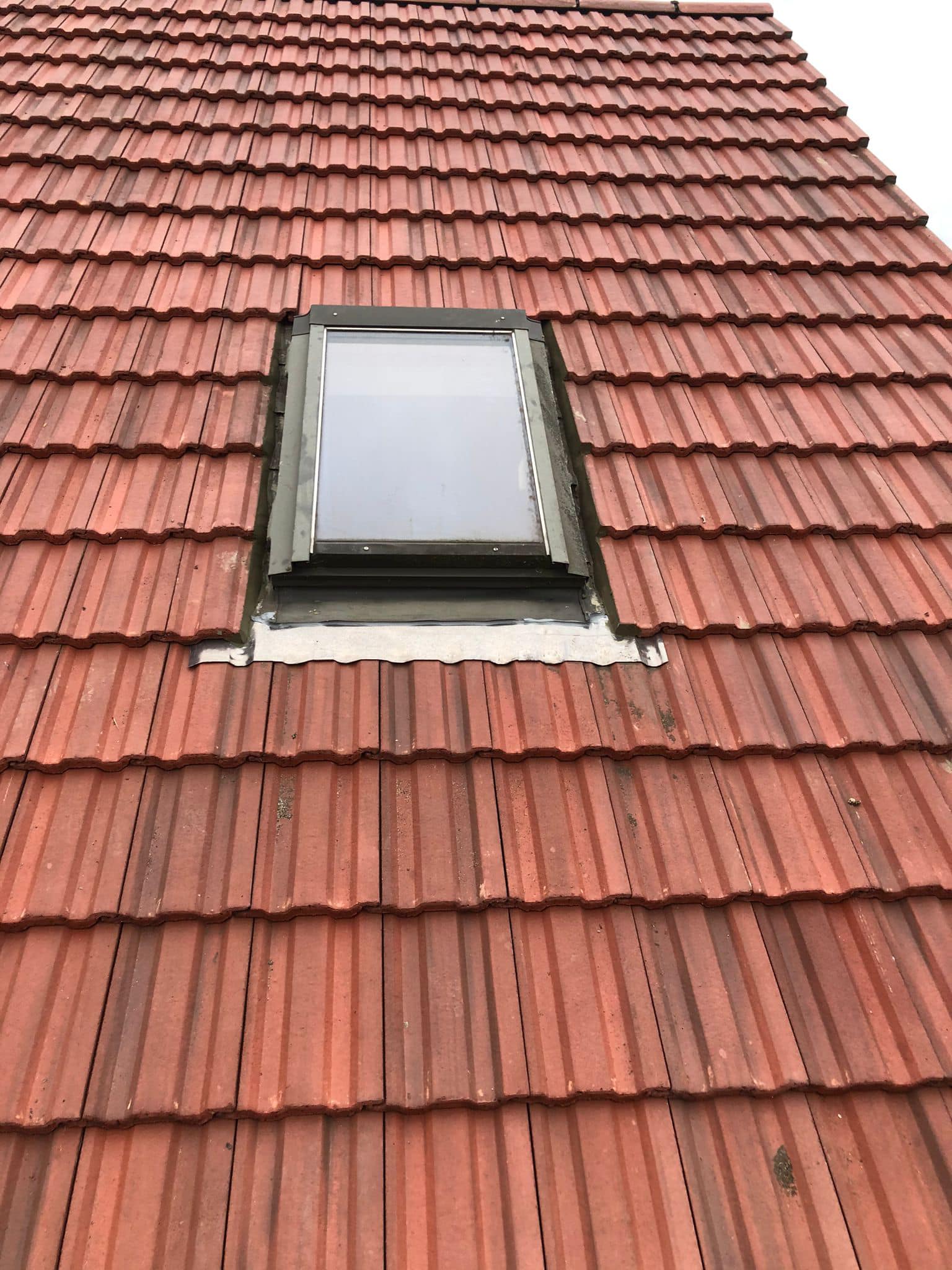 Moss removal in Wimbledon