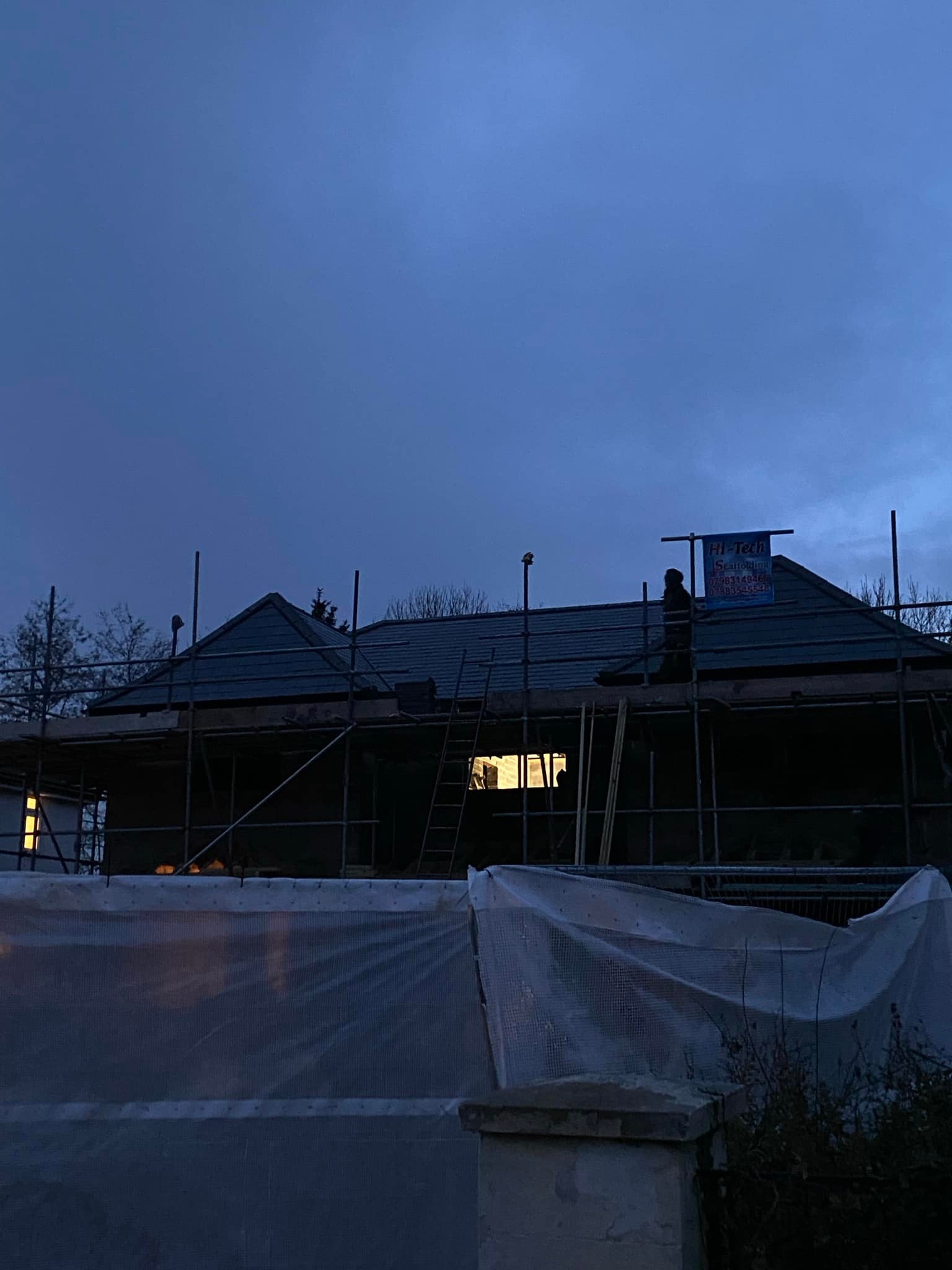 Moss removal in Wimbledon