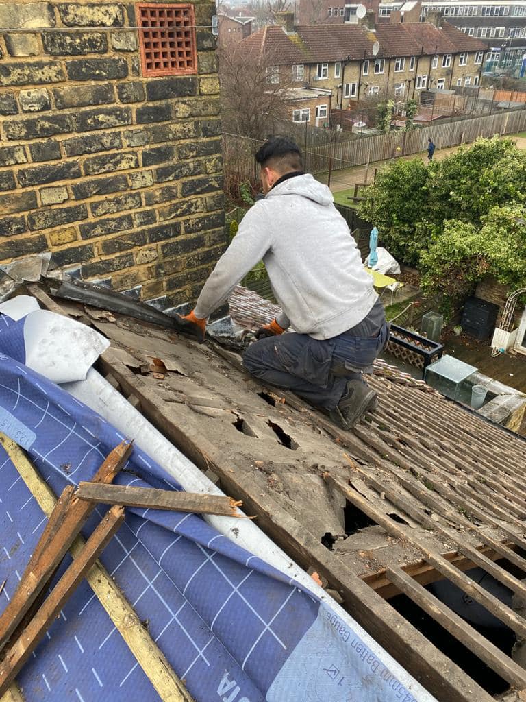 Moss removal in Wimbledon