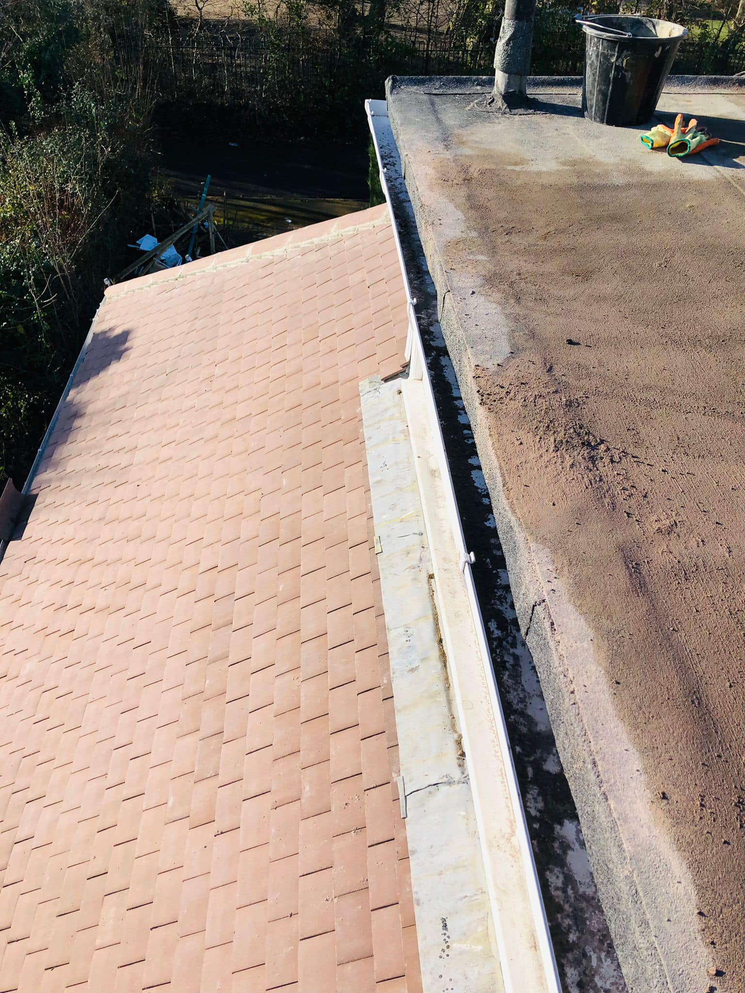 Moss removal in Wimbledon