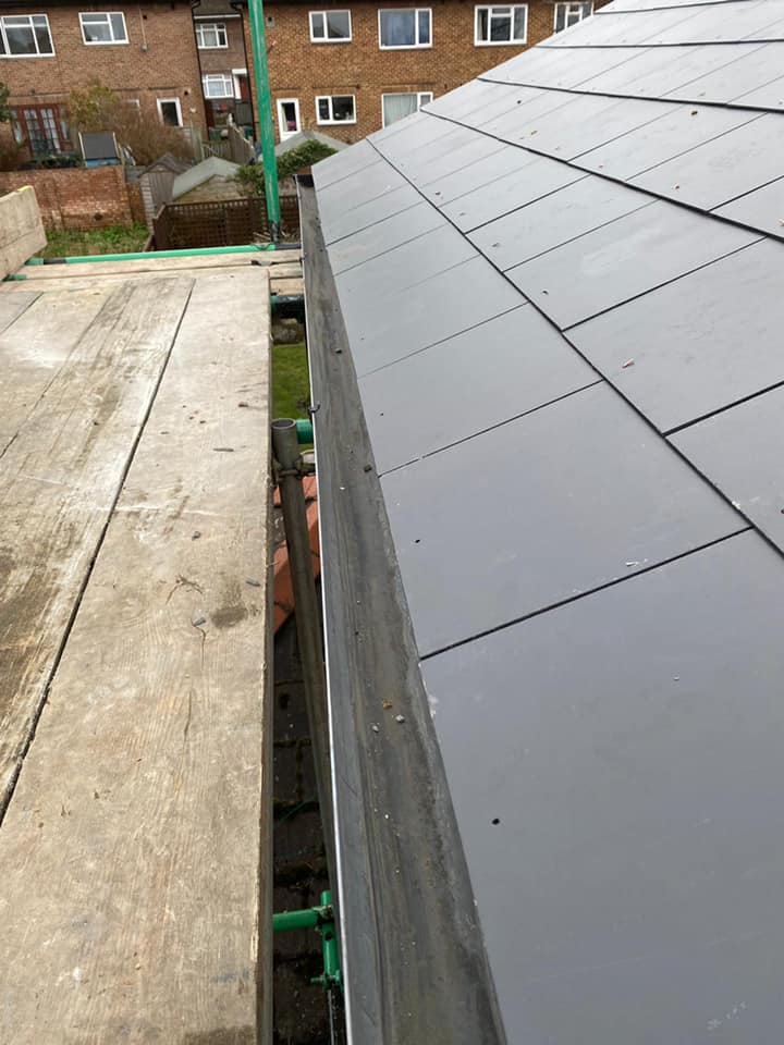 Moss removal in Wimbledon