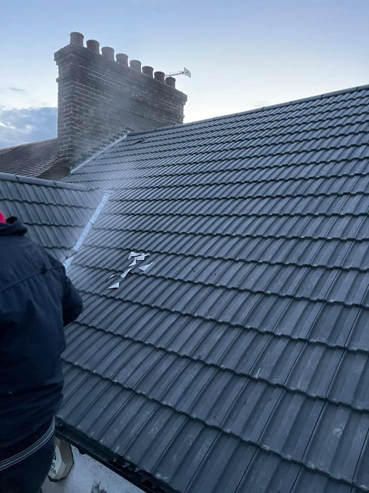 Moss removal in Wimbledon