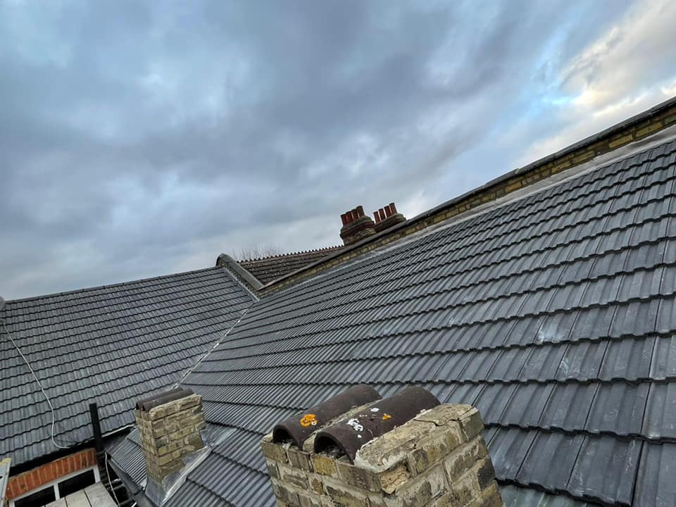 Moss removal in Wimbledon