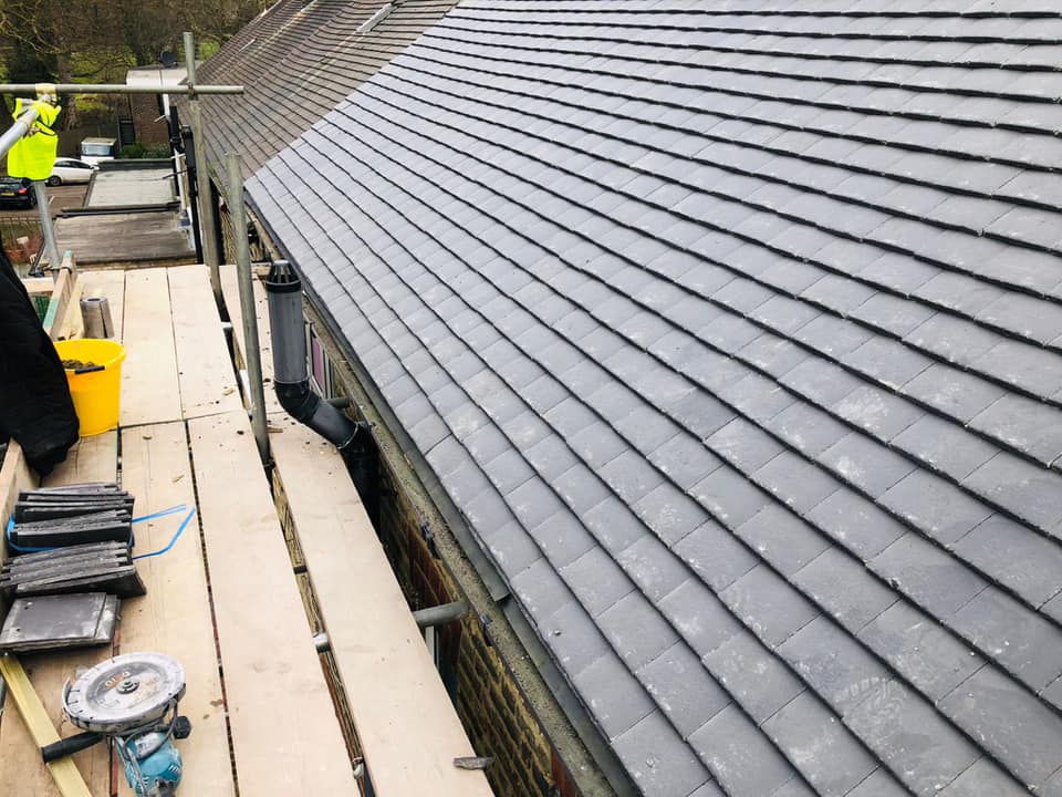 Moss removal in Wimbledon